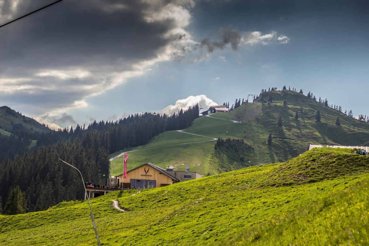 Отель Schmiedhof Alm Целль-ам-Зе Экстерьер фото